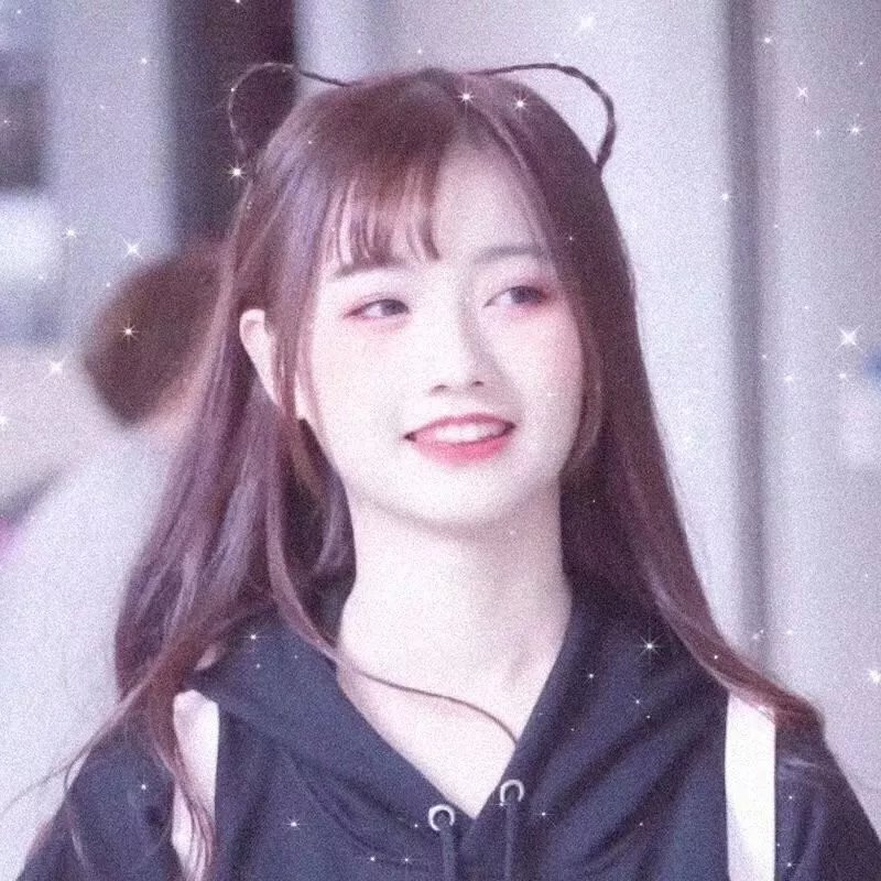 巅峰拍档第二十五季