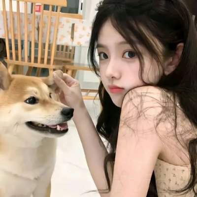 索尔菲雷诺之战